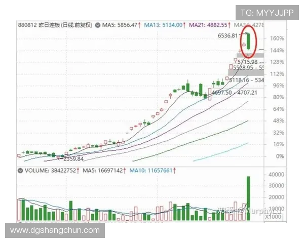 深圳篮球队与西安篮球队赛后状态分析与复盘总结
