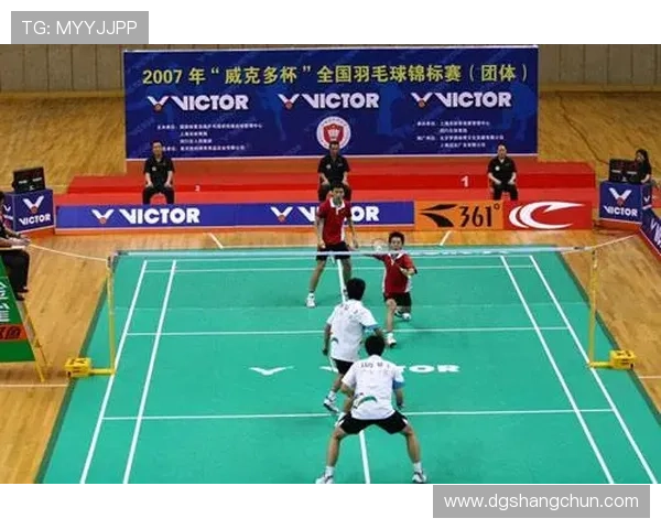 深圳羽毛球队总决赛技术分析与表现评估全景解读
