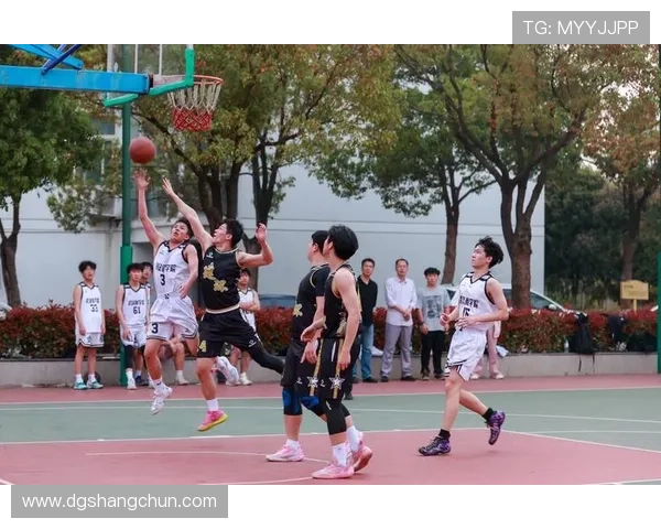 篮球团队协作实力大比拼杭州篮球队荣登第七名展现团队精神