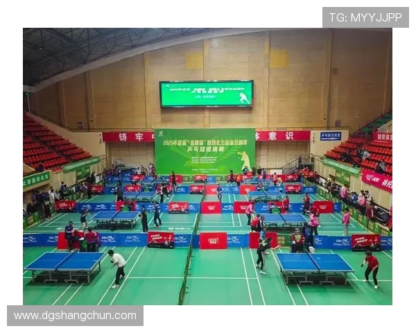 西安乒乓球队的控制革新探索与实践：提升竞技水平的新路径